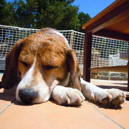 Residenza Capriccioli 아파트호텔 4*