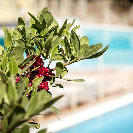 Apartahotel Residenza Capriccioli Porto Cervo
