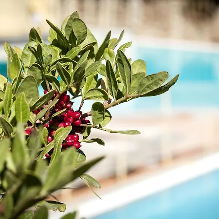 Aparthotel Residenza Capriccioli Porto Cervo