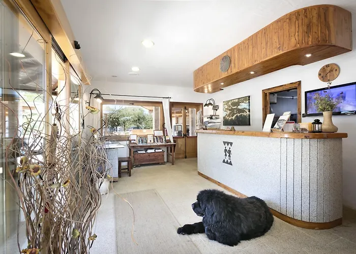 Residenza Capriccioli מלון דירות פורטו צ'רבו