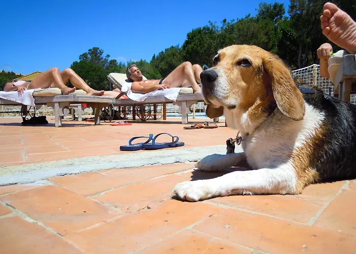 Residenza Capriccioli 4*