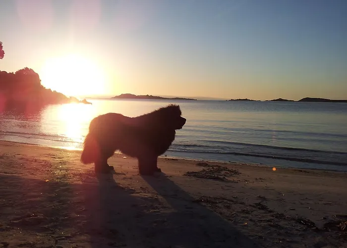 Residenza Capriccioli מלון דירות פורטו צ'רבו