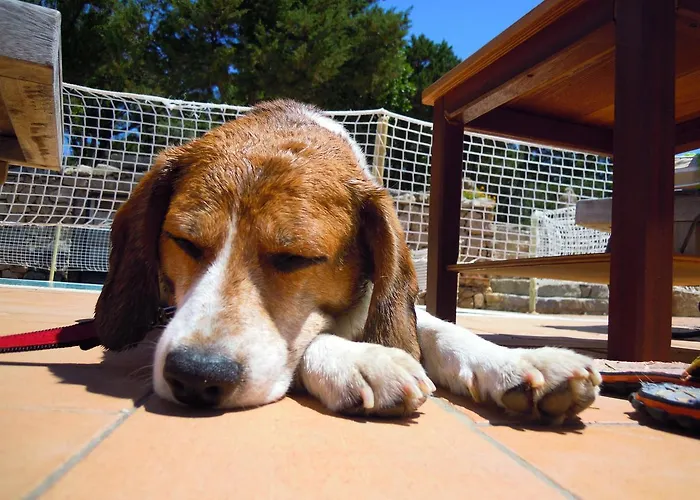 Residenza Capriccioli מלון דירות 4*